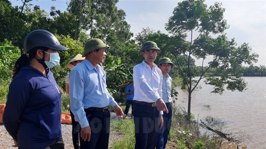 Ninh Giang chỉ đạo xử lý sự cố đê sông Luộc